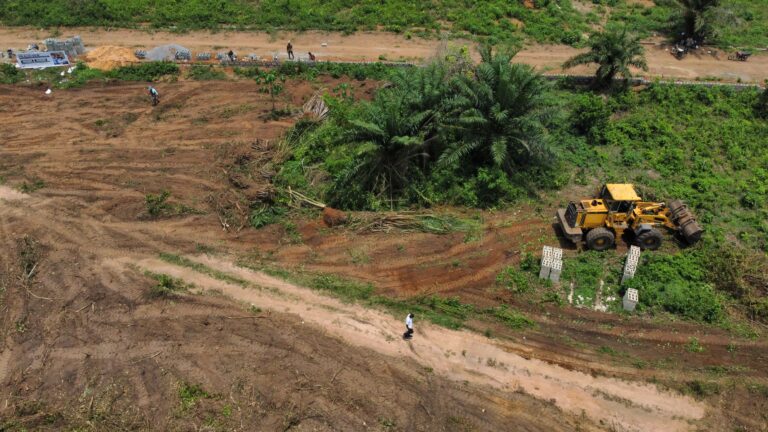 dji_fly_20240327_131248_11_1711632893673_photo_optimized